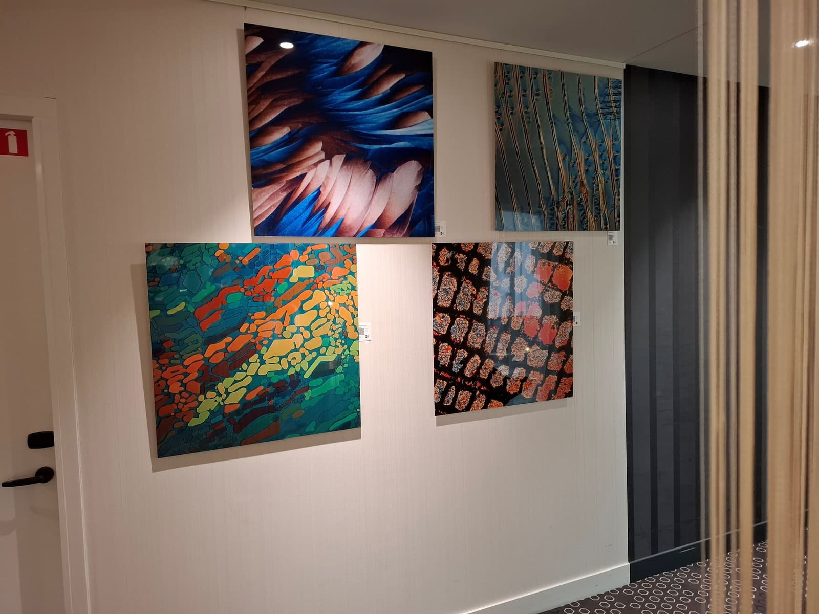 Jelte Prins @ Novotel Schiphol Airport hotel 5