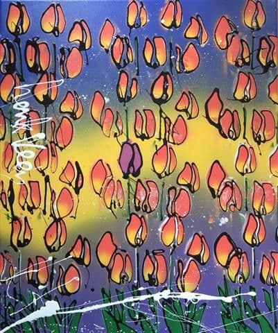 Tulip nr 78