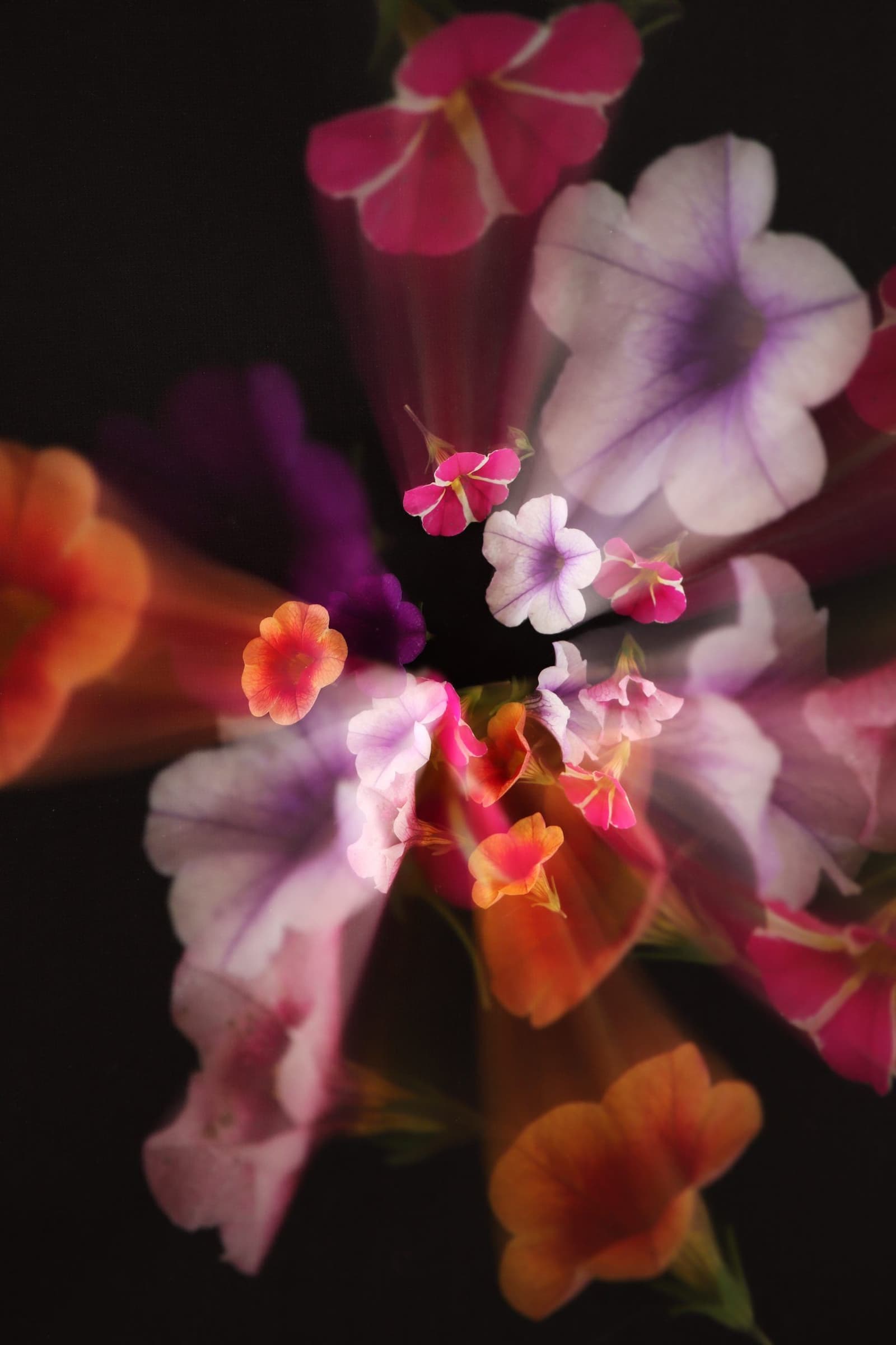 Flower Cicus