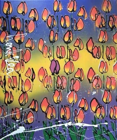 Tulip nr 78